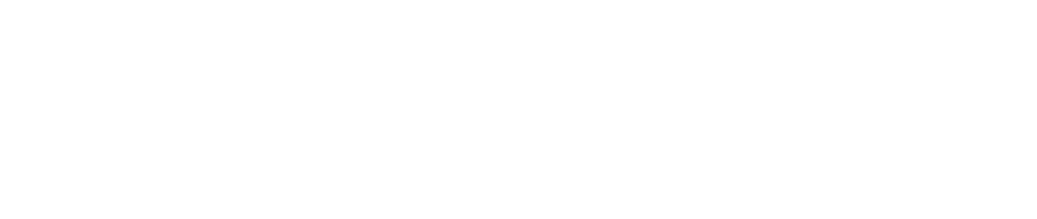 Assidi Consulting
